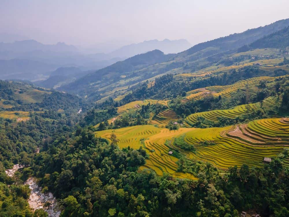 Tay Con Linh Terraced Rice Fields