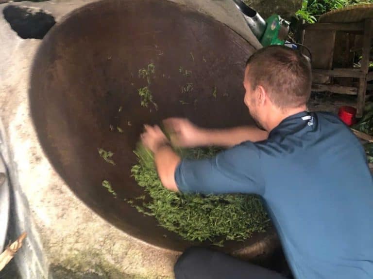 Guest pan-firing fresh Snow Shan tea leaves by hand in a Dao kitchen