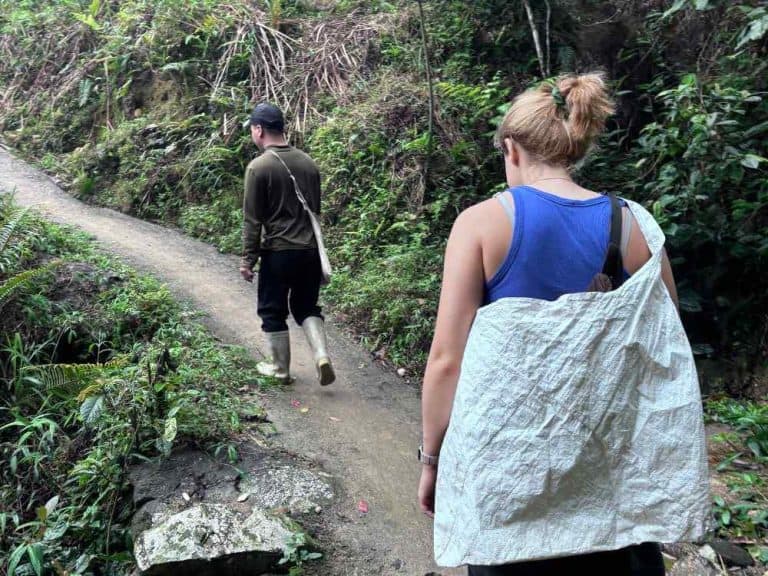Tourists trekking through forest for 1 day ancient snow shan tea tour