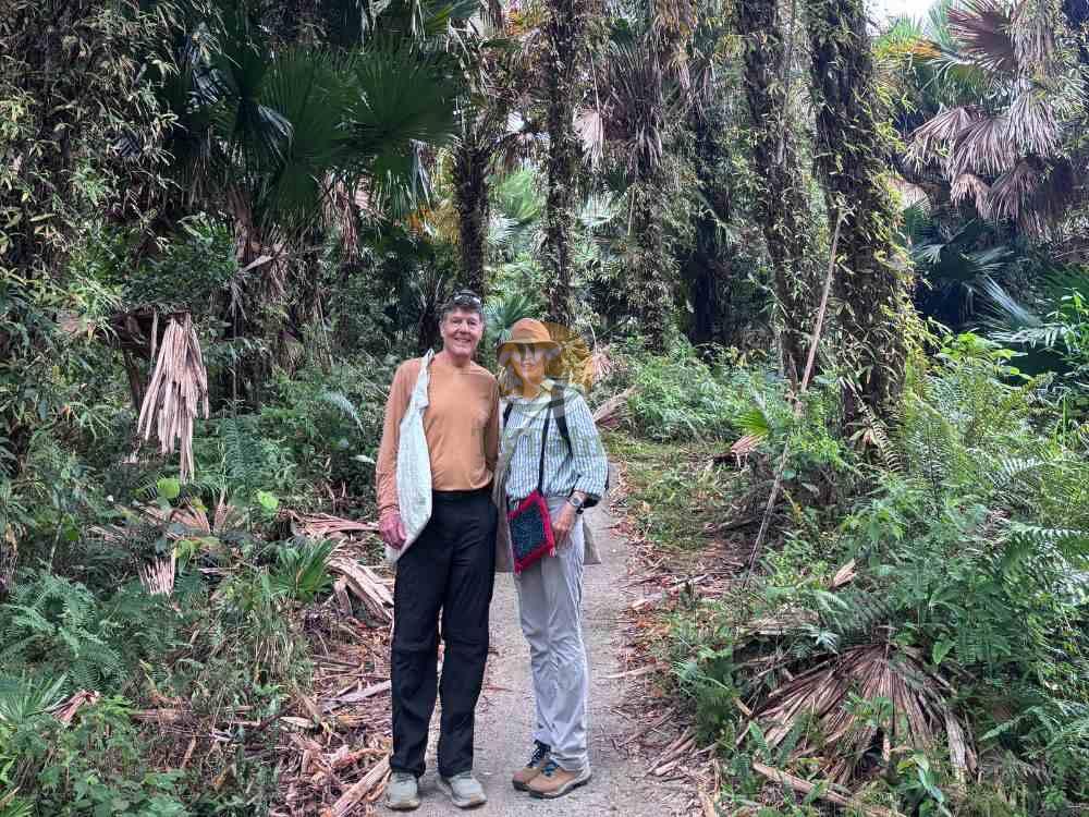 Tourists walking through beautiful ancient snow shan tea plantations