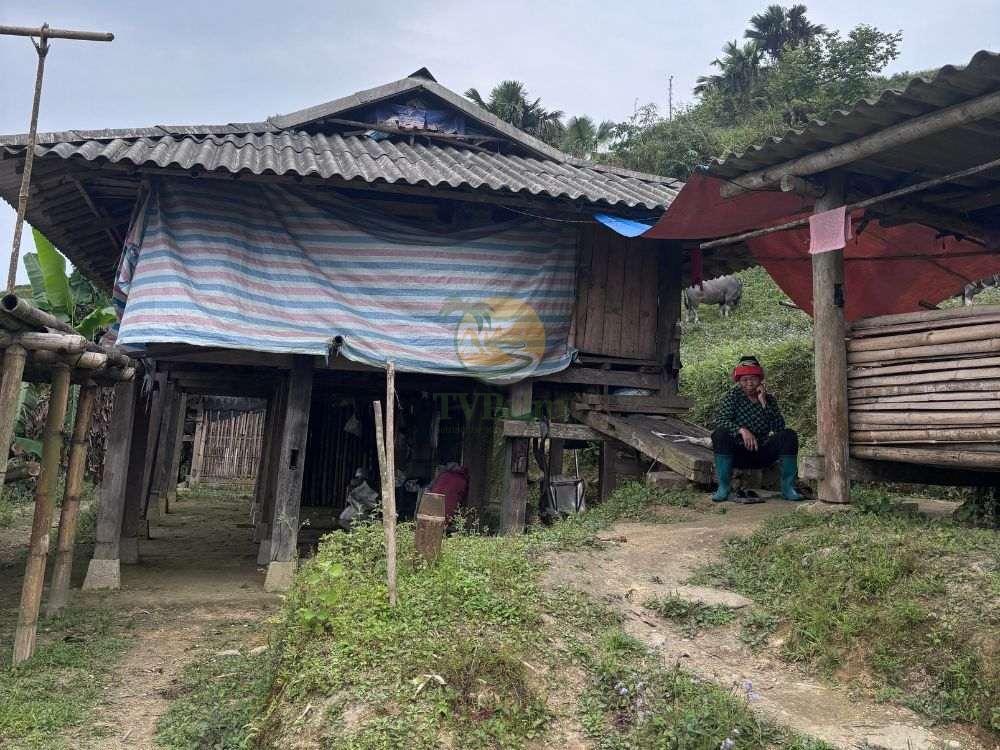 Traditional wooden stilt house architecture, 2 Days 1 Night Khuoi My - Xa Phin stay