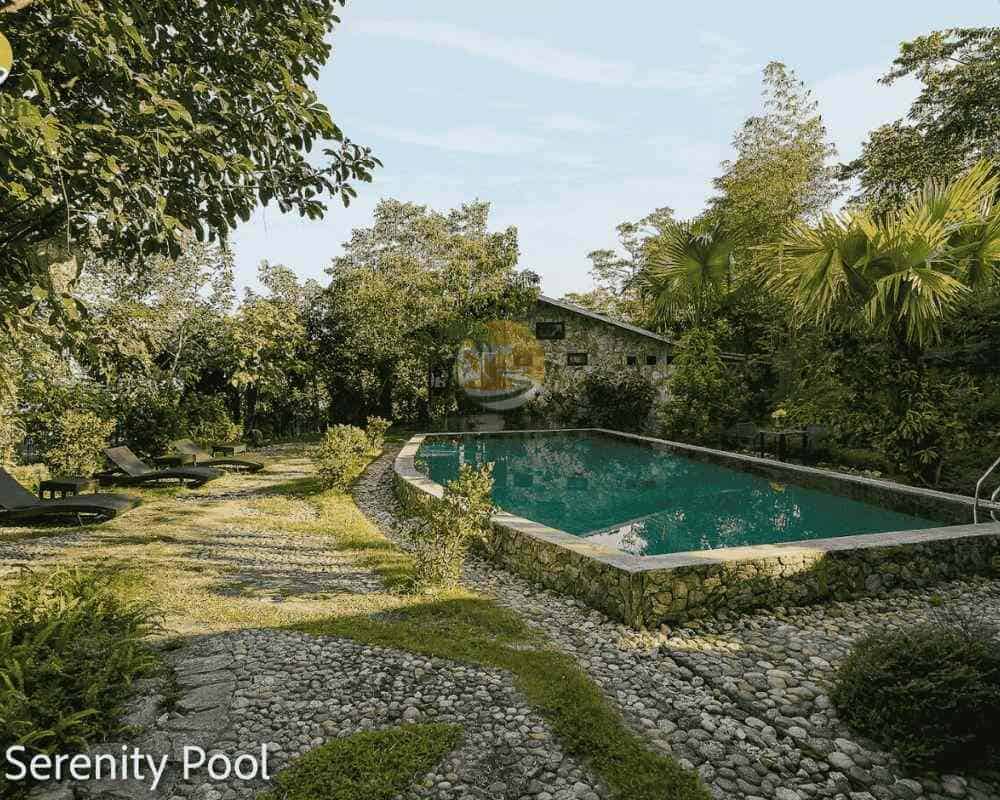 green palm swimming pool resort