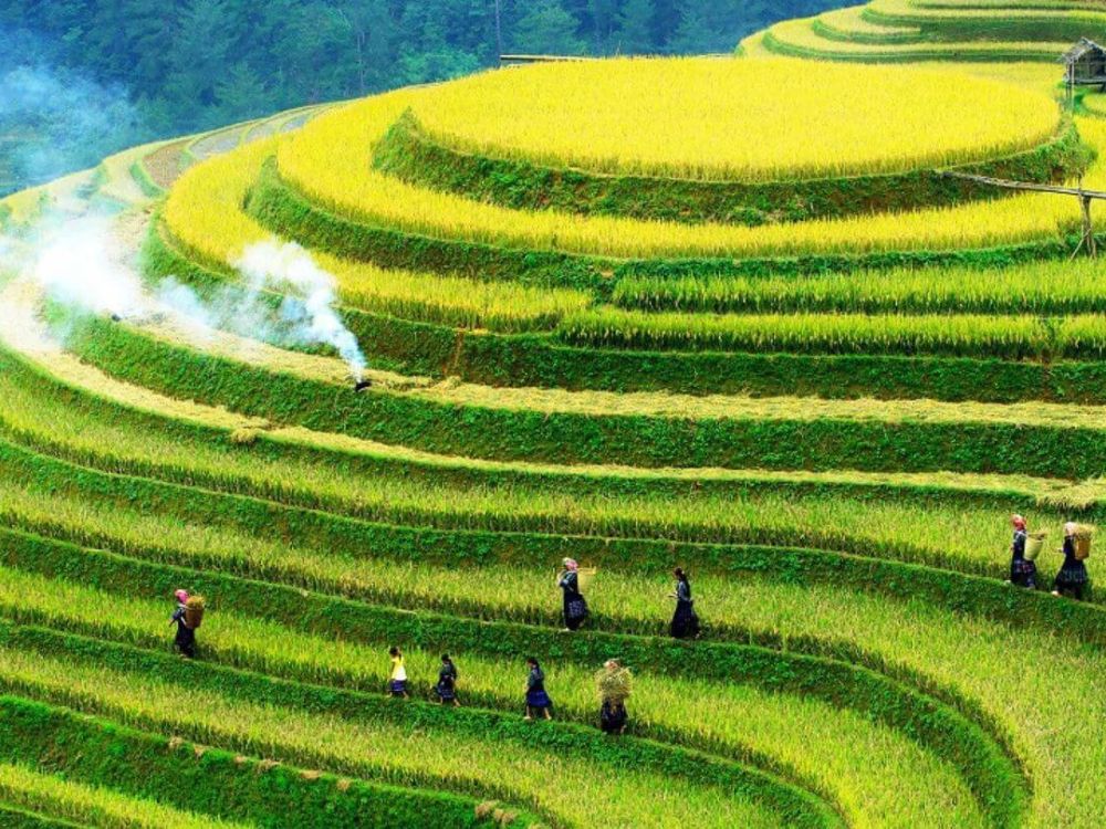 ha giang loop route - Nam Cang village