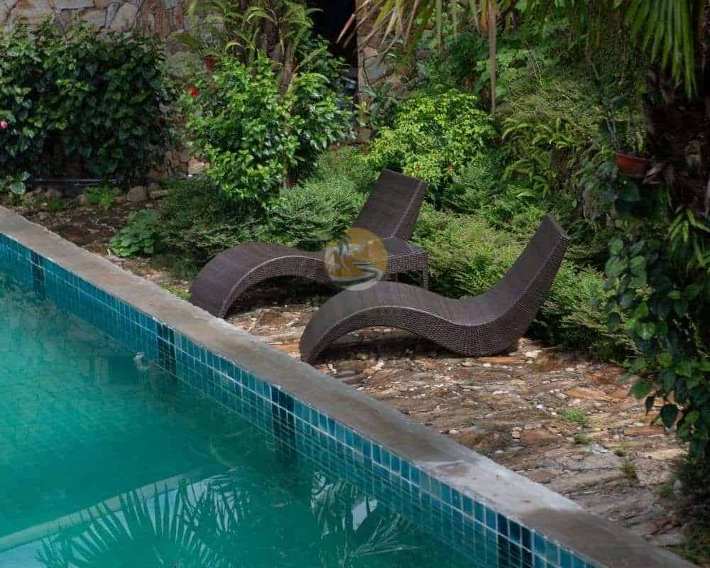 luxury palm swimming pool chairs