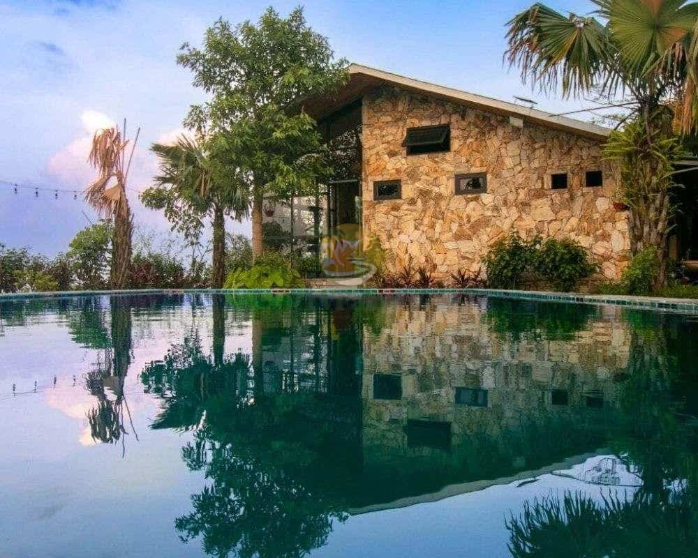 palm swimming pool view