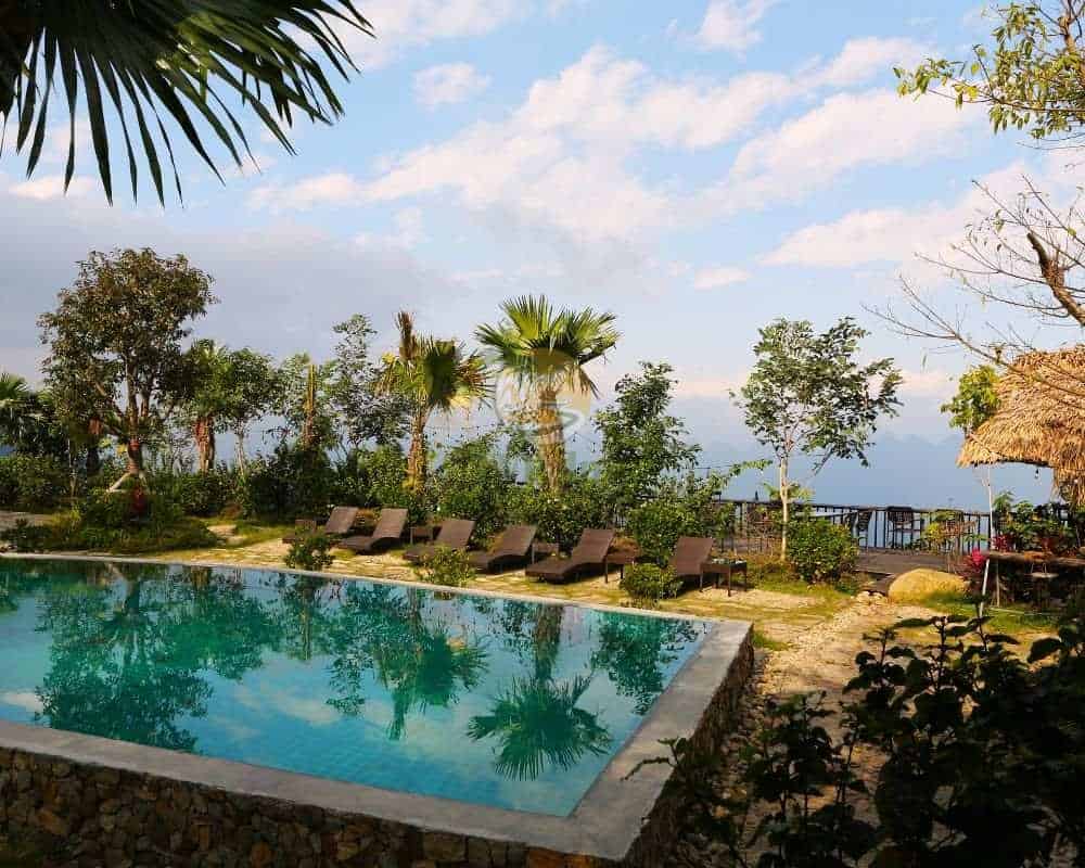 scenic palm swimming pool