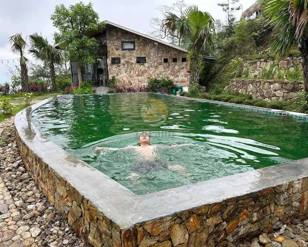 swimmer in palm swimming pool