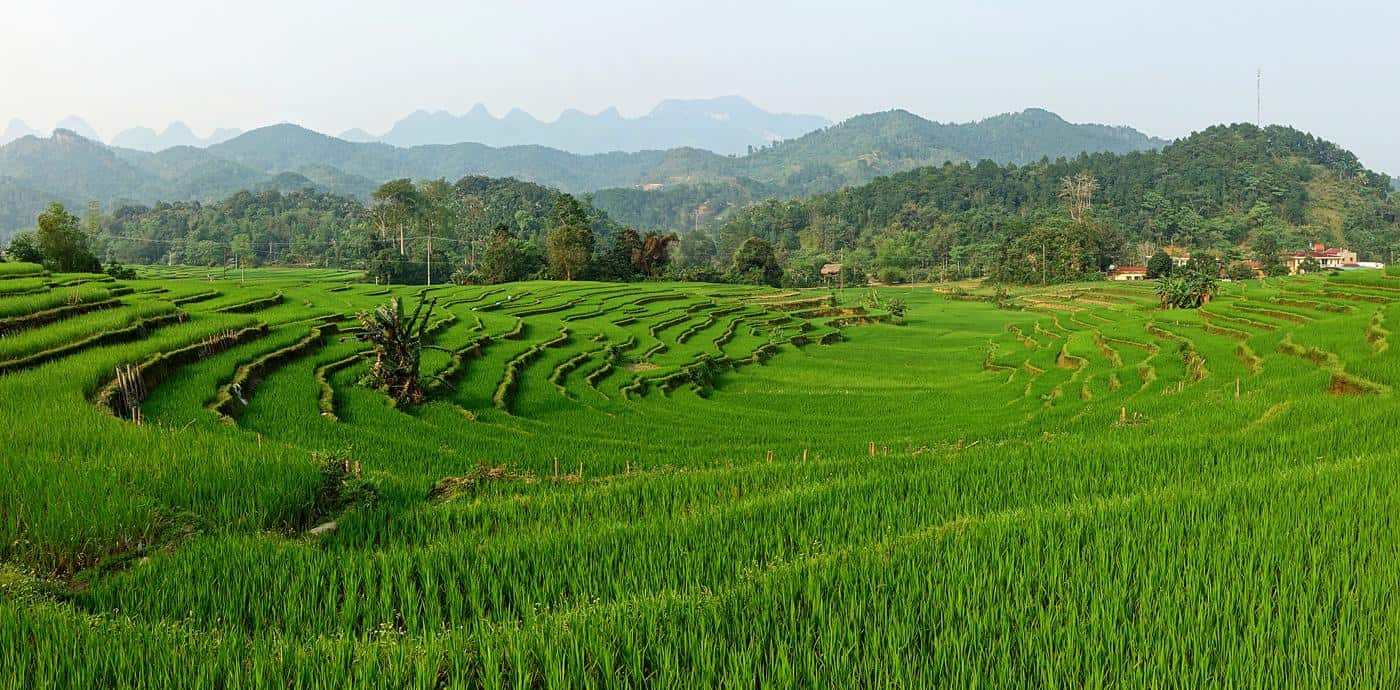 Panoramic view of terraced rice fields and peaceful mountain villages in Ha Giang