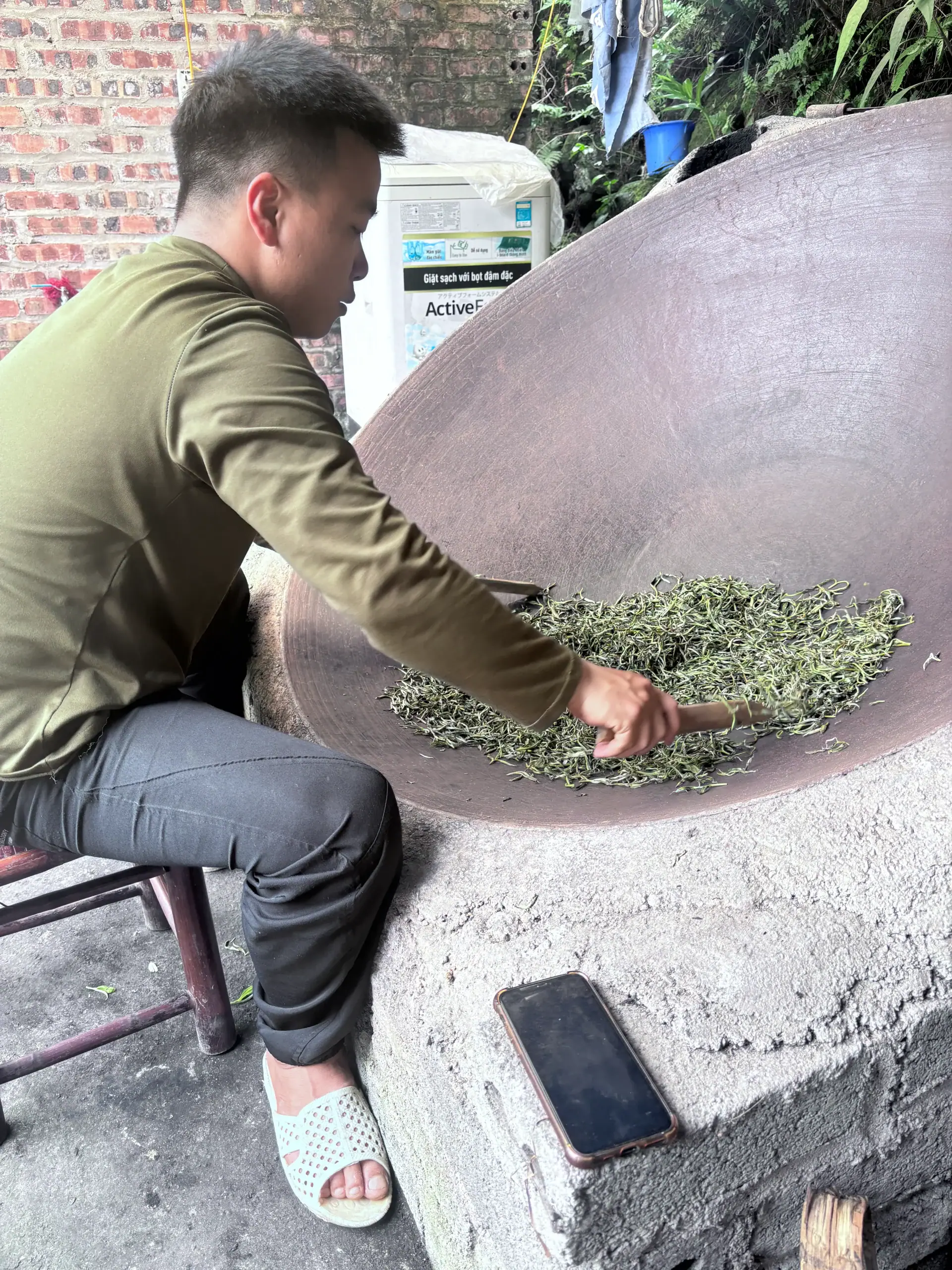 Processing tea leaves