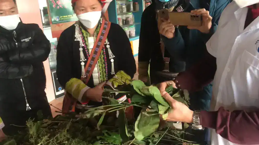Traditional medicine of the Dao Ao Dai people