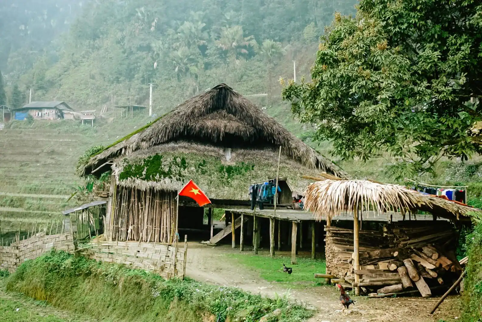 Thon Tha Mossy Stilt House