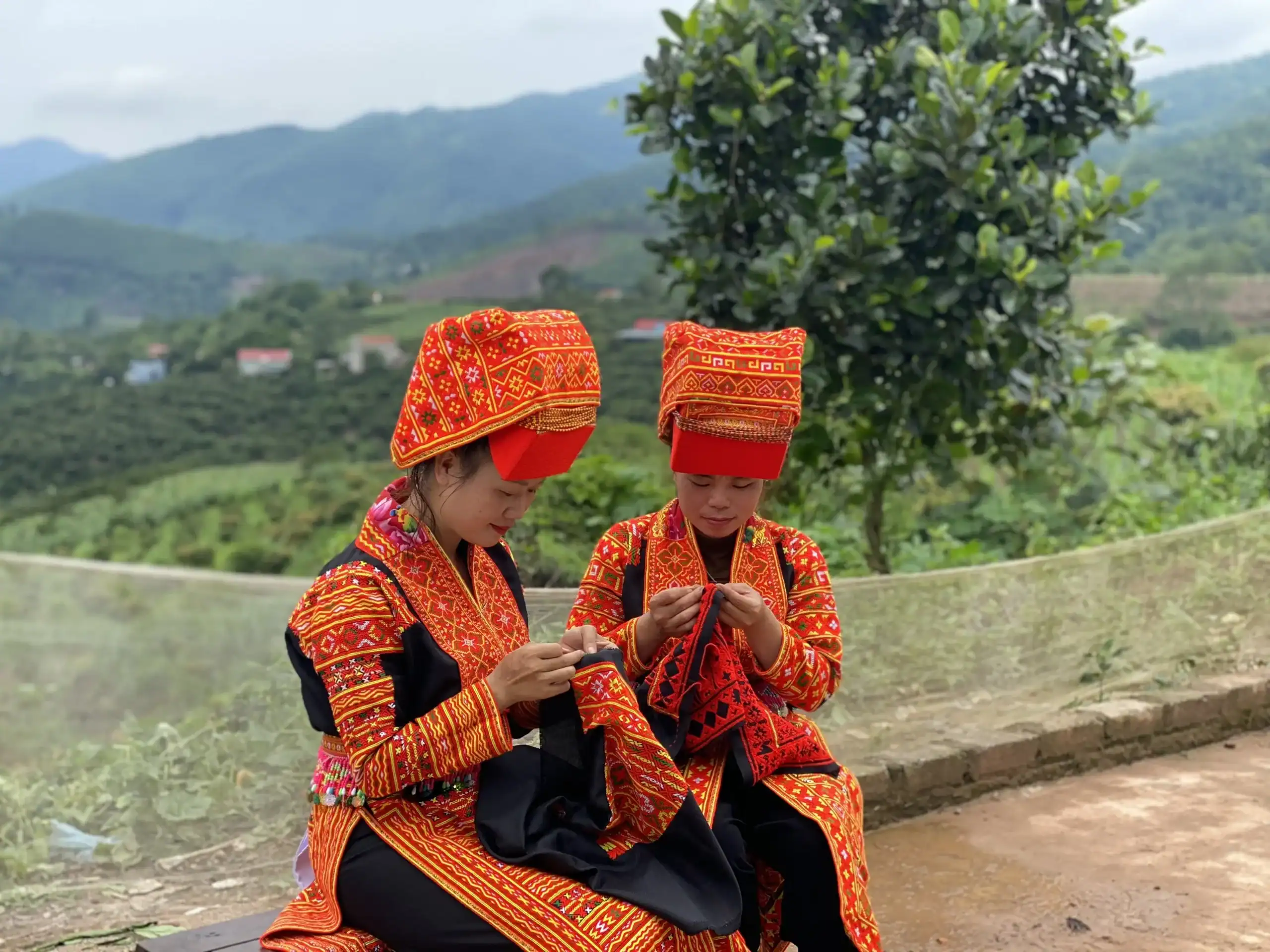 Dao Woman Embroidery Terraces