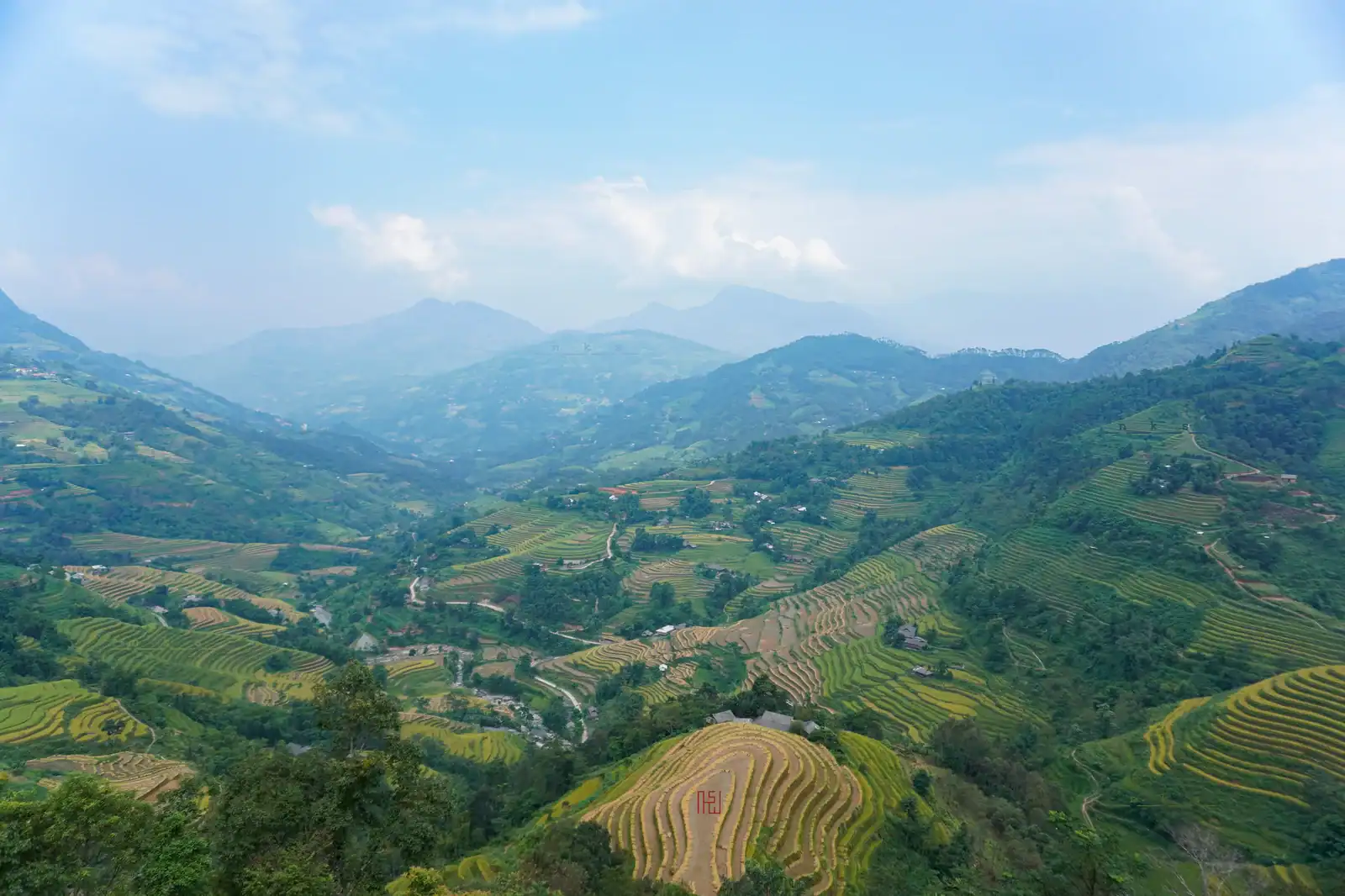 Collines en terrasses d’un vert luxuriant et vallées de montagne à Ha Giang pendant la saison verte et chaude de l’été