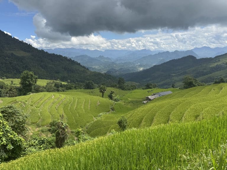 Terraced rice fields stepping down the valley below Lung Vai with the mountains of Ha Giang behind
