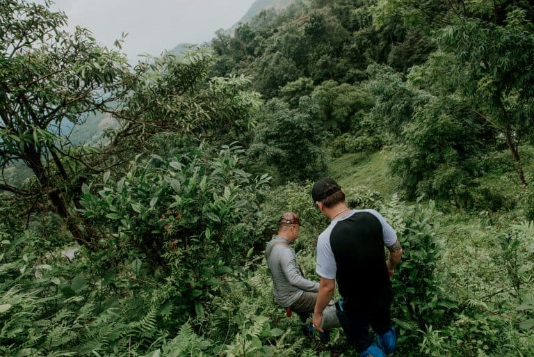 Snow Shan tea in Ha Giang: two Dao growers among old Shan Tuyet tea trees above Na Thac