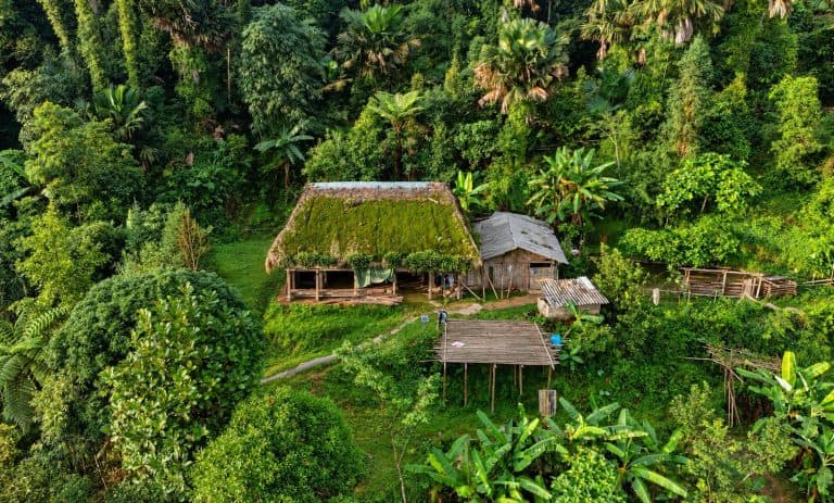Aerial view of a mossy-roofed Dao house in the forest