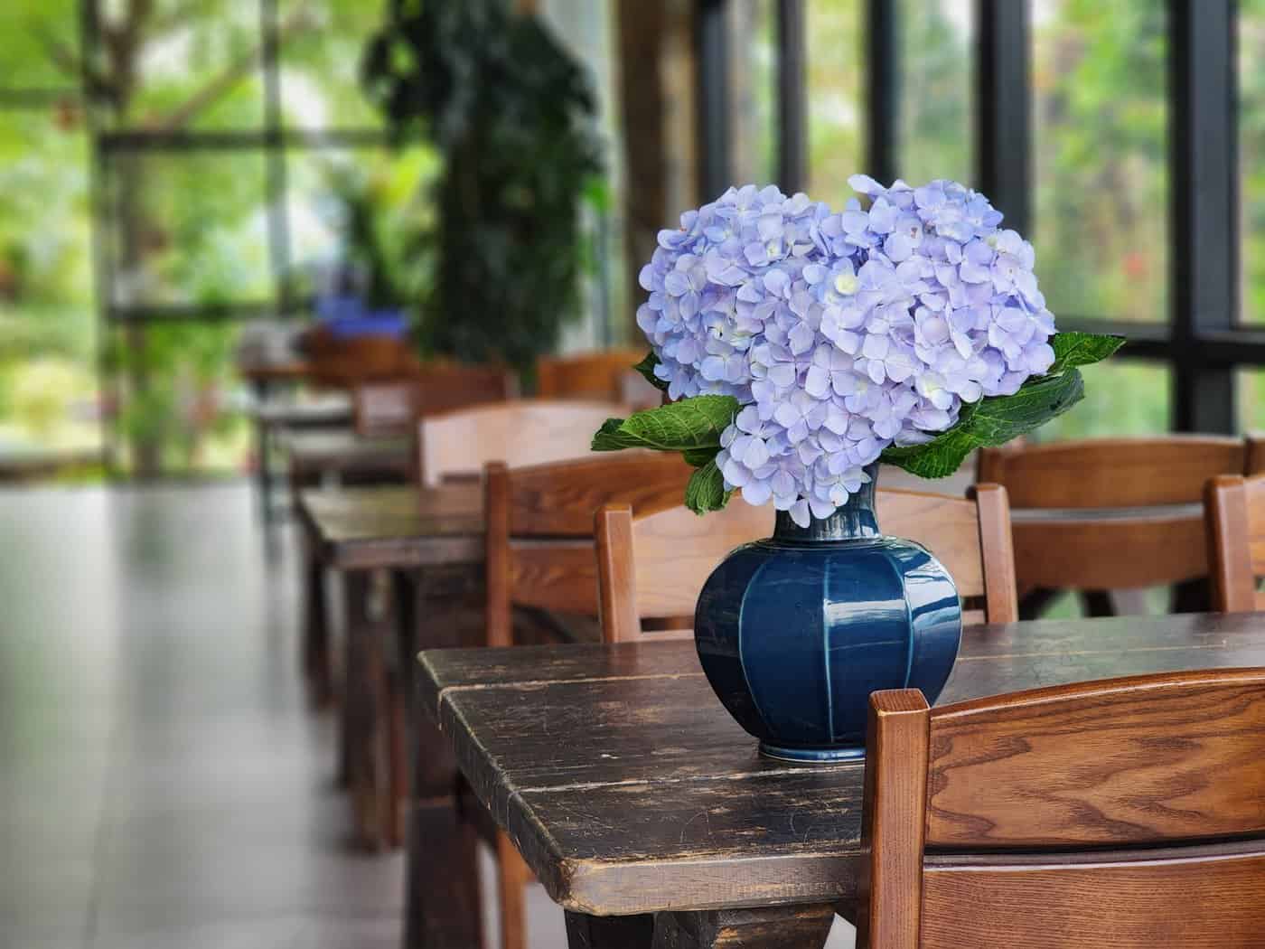Phòng nghỉ TVPalm Ecolodge Hà Giang 39 Bình gốm xanh cắm hoa cẩm tú cầu trên bàn gỗ nhà hàng TVPalm Ecolodge