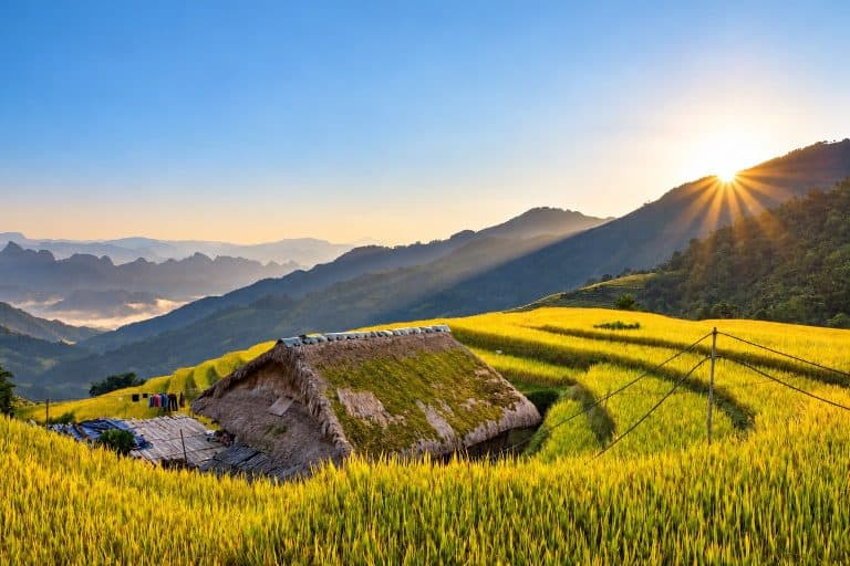 Sunrise over a thatched Dao house and ripe rice terraces near Xa Phin