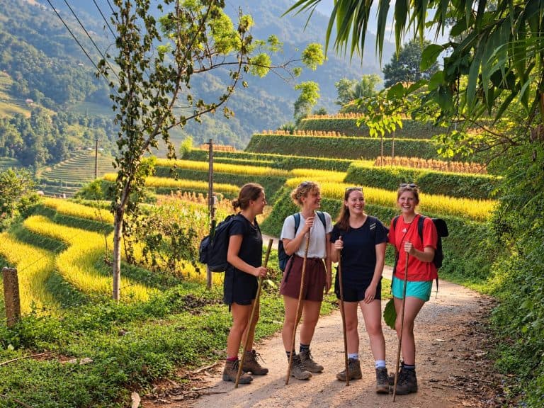 Four trekkers laughing on a path beside golden rice terraces