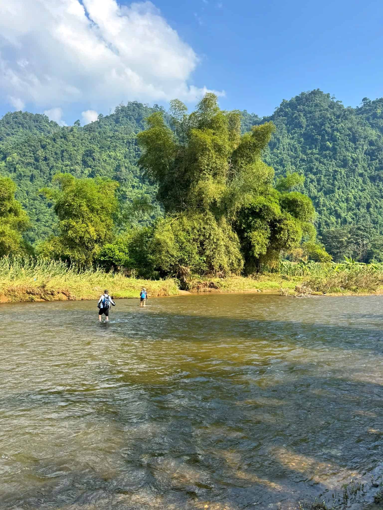 Xem voọc mũi hếch ở đâu tại Hà Giang? 11 Hai du khách lội qua dòng suối nước nâu với núi rừng xanh phía sau
