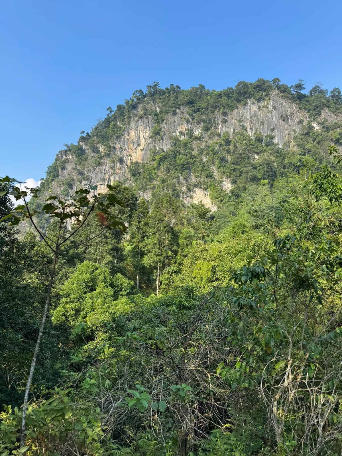 Forested limestone karst in Tung Ba, habitat of the Tonkin snub-nosed monkey