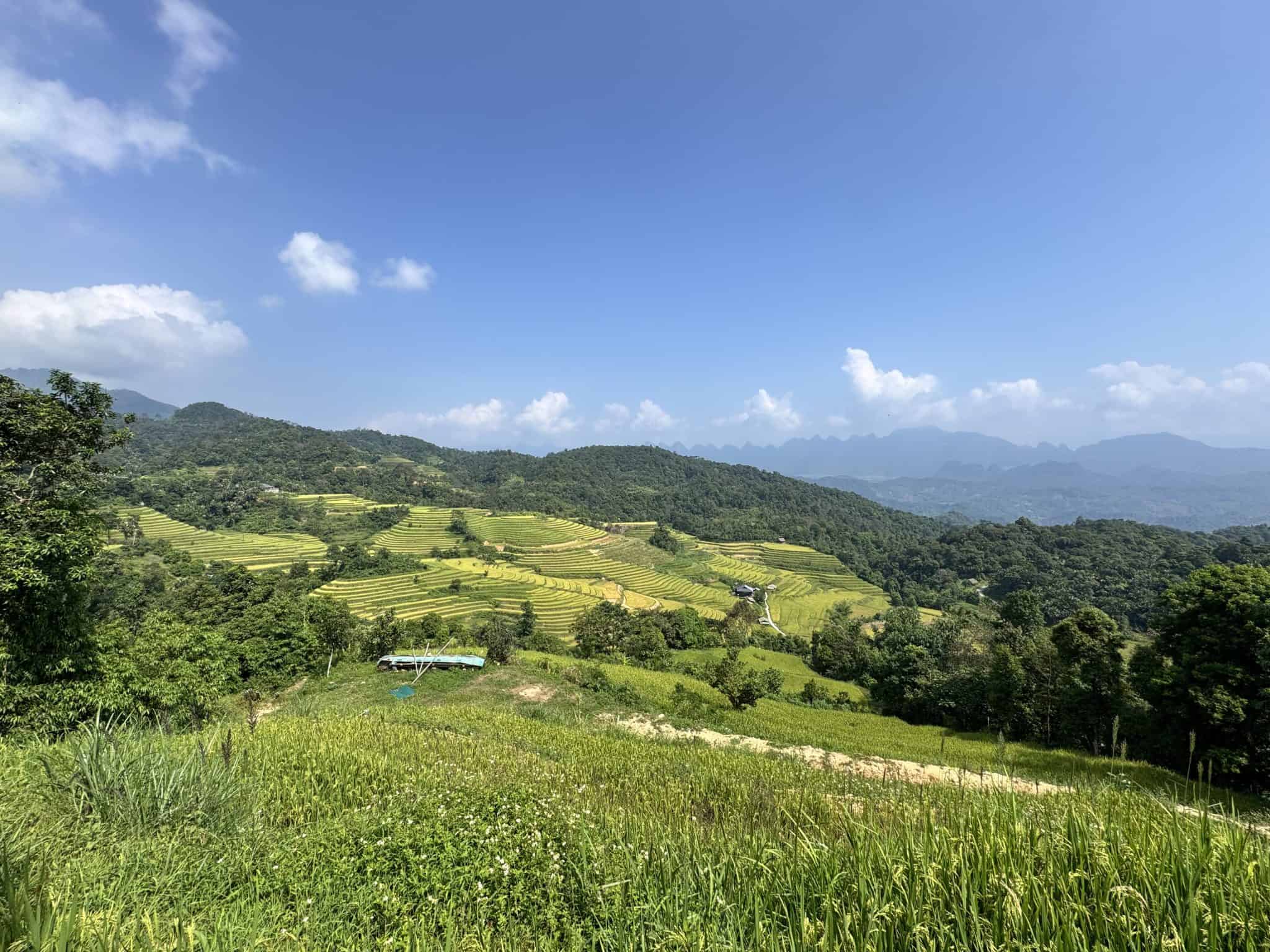 Terraced rice fields at Na Thac ripening above the welcome gate, with the forested ridges of Tay Con Linh and the karst peaks of Ha Giang beyond