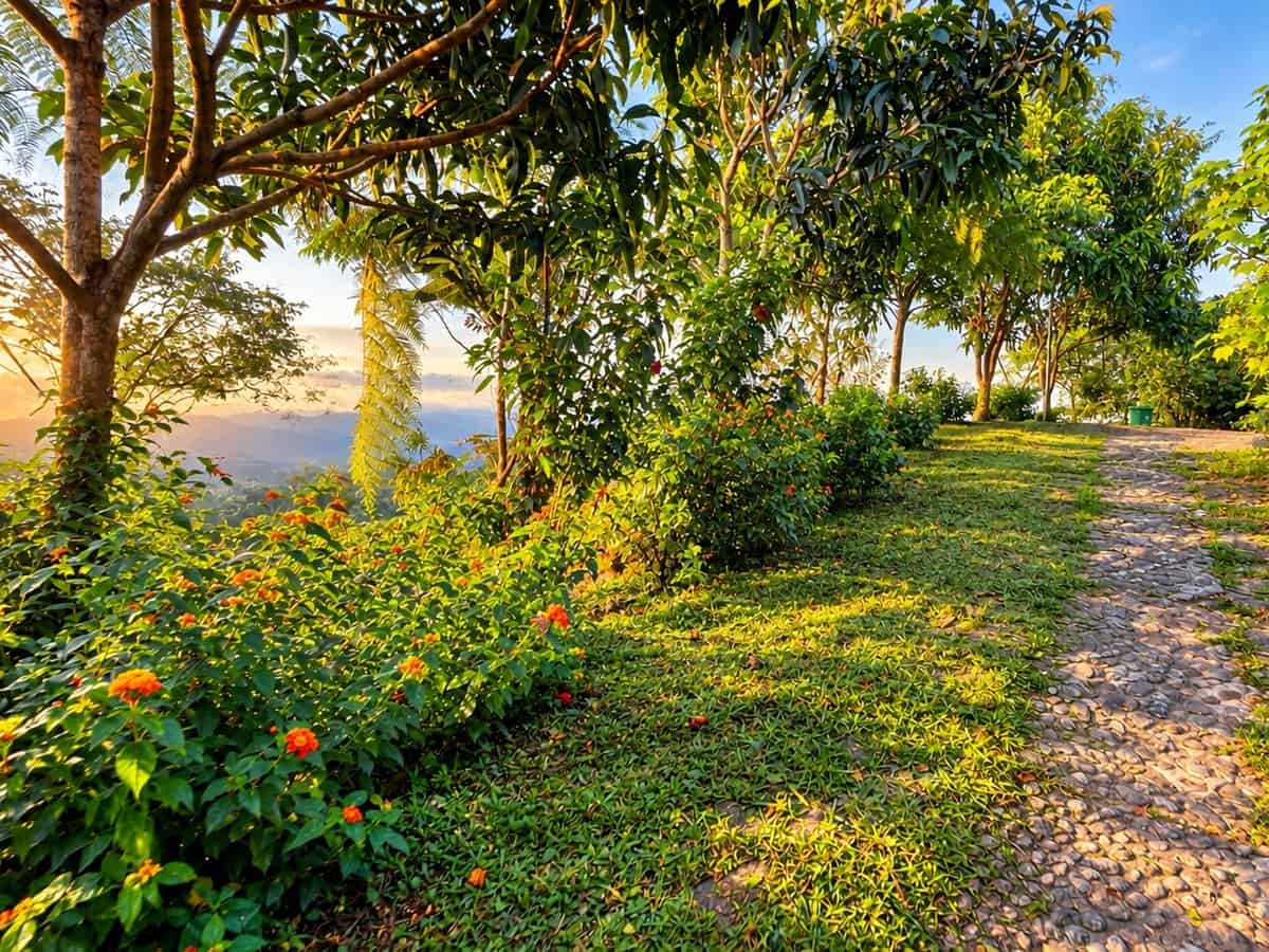 Phòng nghỉ TVPalm Ecolodge Hà Giang 32 Lối đá cuội và vườn hoa trong khuôn viên TVPalm Ecolodge lúc nắng chiều