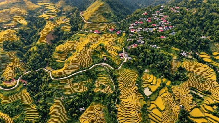 Rice terraces, a village and a winding road seen from above