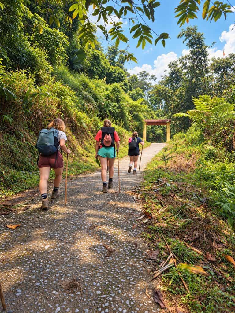 Trekkers walking up a forest road towards a village gate