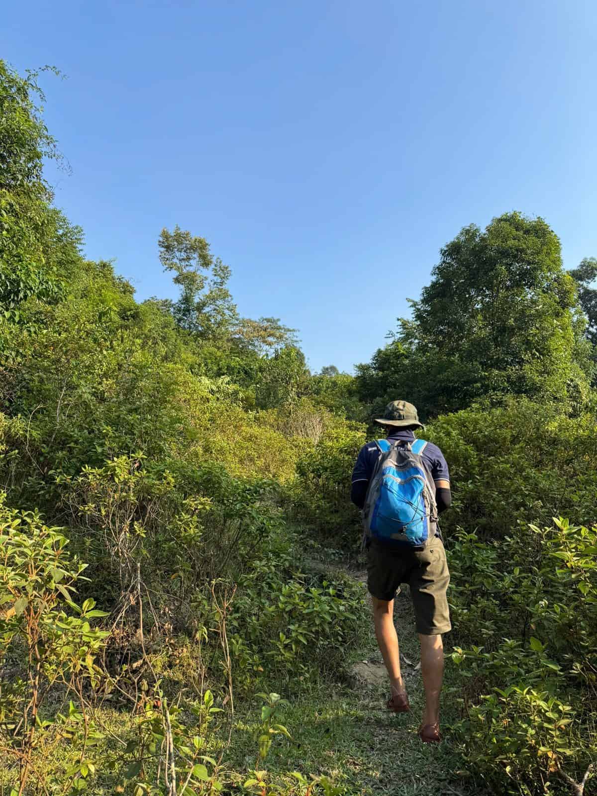 Trekker on a grassy trail heading into the Tung Ba limestone forest