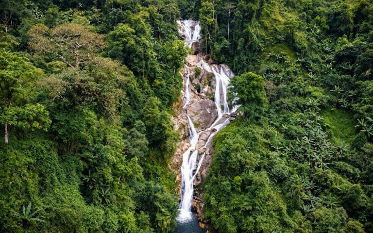 Waterfall falling through dense forest, seen from above