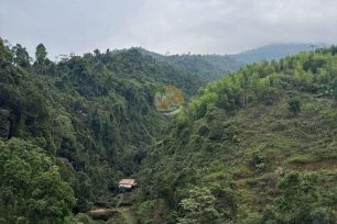 Panoramic view of a lush valley during 3-Day Tay Con Linh trekking